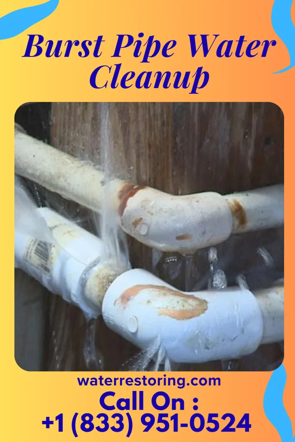 Burst Pipe Water Cleanup in Calhoun, GA