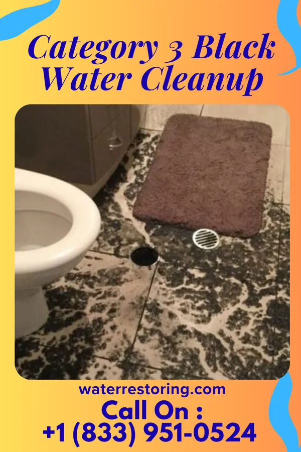 Category 3 Black Water Cleanup in Calhoun, GA