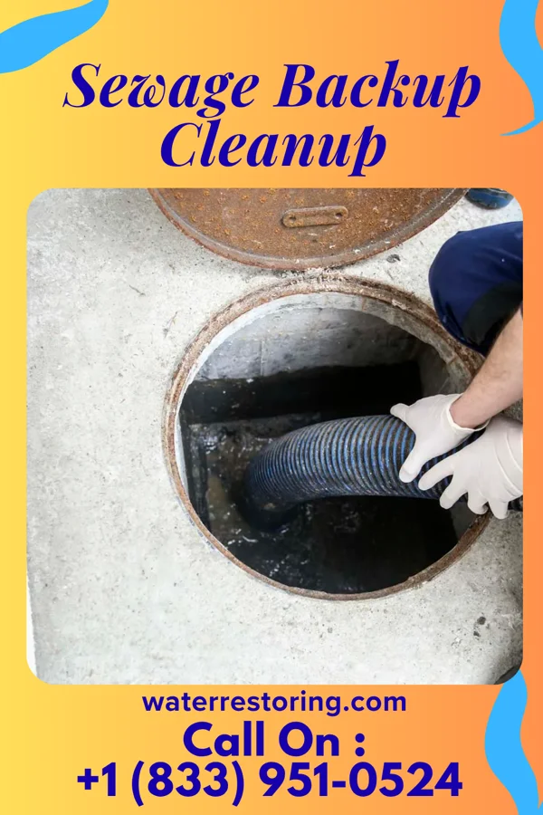 Sewage Backup Cleanup in Calhoun, GA